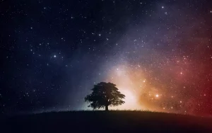 felsefi fikirler felsefi sozleri dusundurucu sozler 1 1