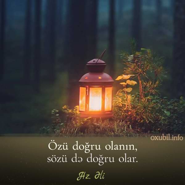 Dəyərli Kəlamlar və Sözlər