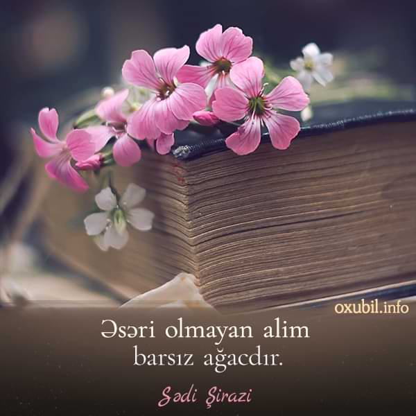 Mənalı Kəlamlar və Sözlər