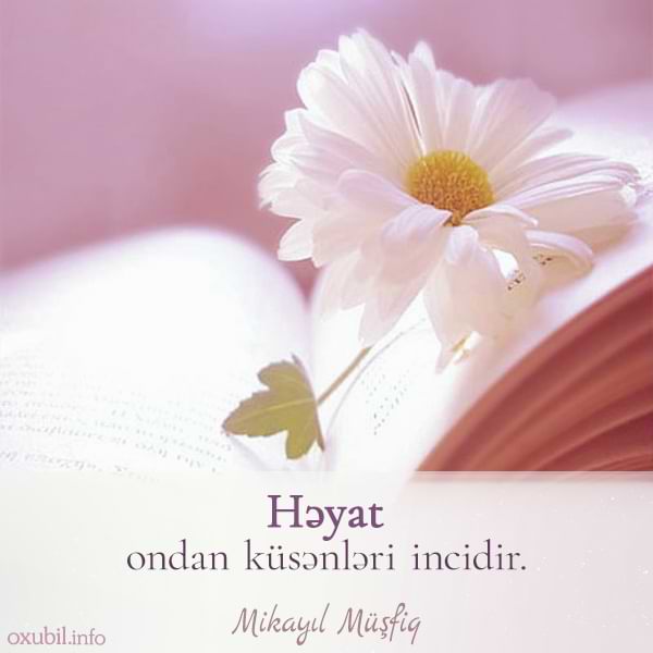 Mənalı Sözlər həyata aid mənalı aforizmlər