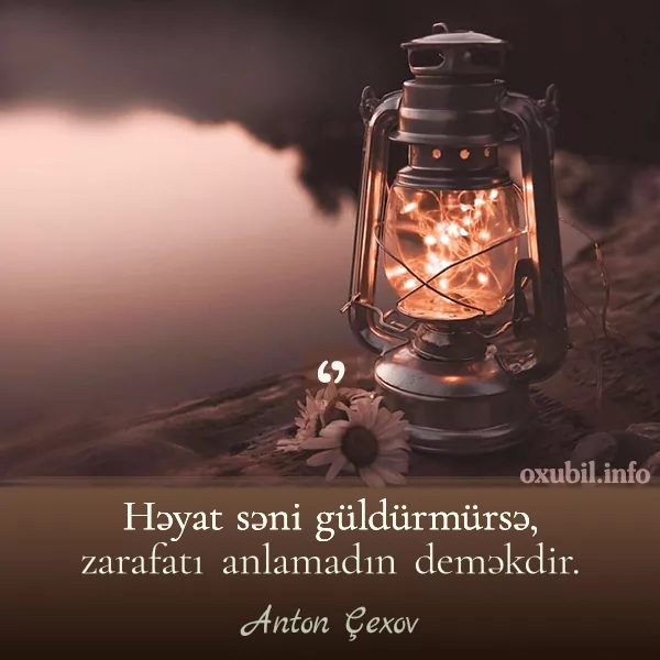 Həyatə aid Mənalı Sözlər və Aforizmlər həyatla bağlı