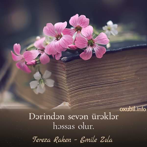 Kitablardan Sitatlar