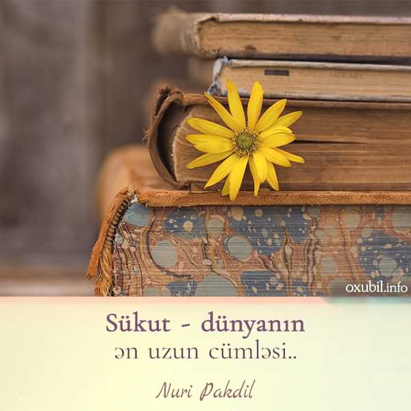 menali aforizmler azeri aforizmlər və kəlamlar düşündürücü sözlər