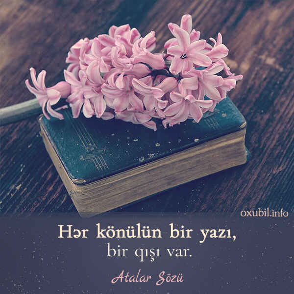 Seçmə Atalar Sözləri mənalı atalar sözləri və məsəllər atalar sozu