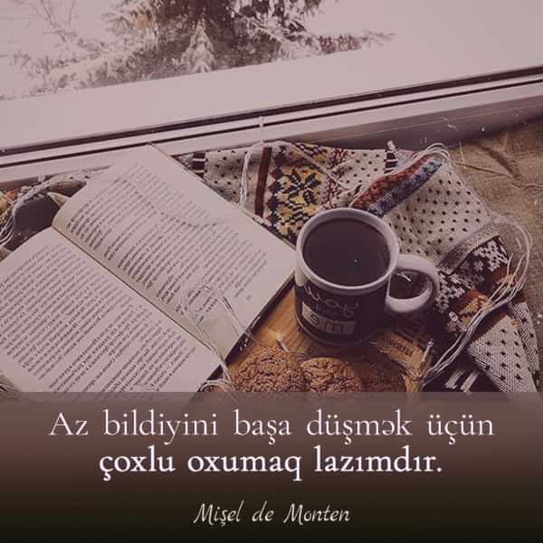 Mənalı Məntiqli Sözlər Mentiqli soz mentiqli aforizm
