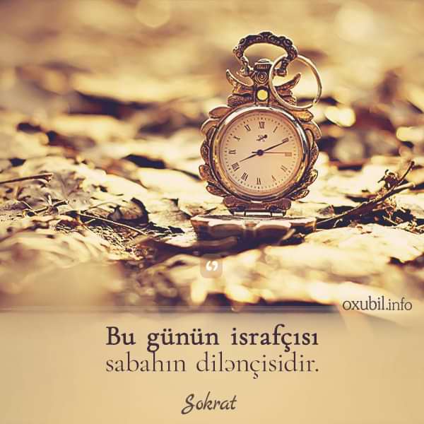 Mənalı Məntiqli Sözlər