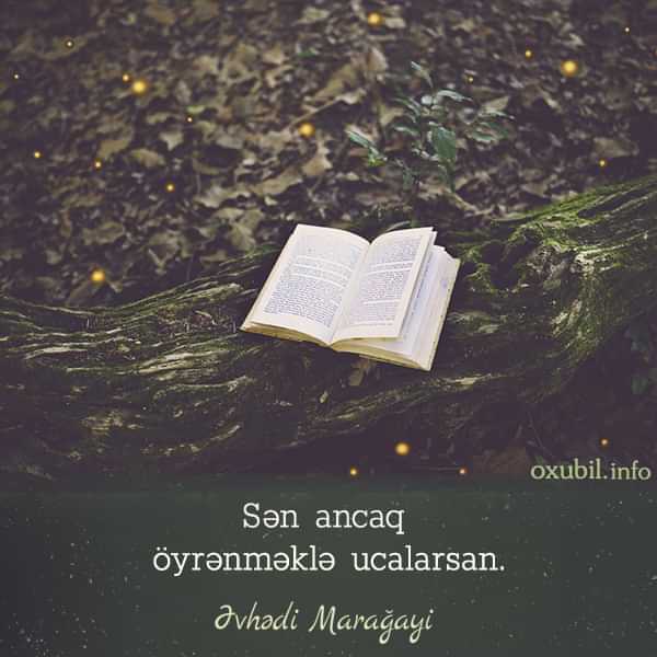 Aforizmlər -Mənalı Düşündürücü və Gözəl
aforizm ve sozler menali oxu oyren