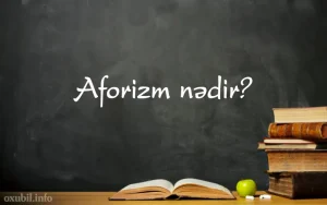 Aforizm nədir?, Aforizm nə demək