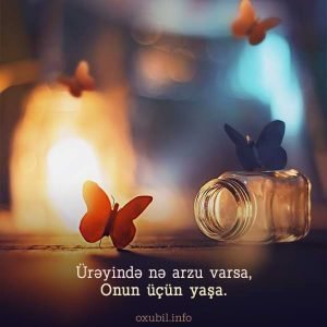 menali sozlu sekiller sozlu profil sekilleri arzu urek 1