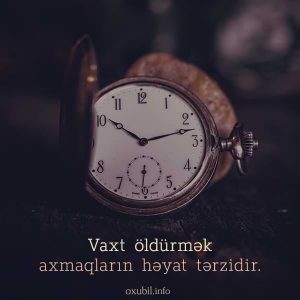 menali sozlu sekiller sozlu profil sekilleri axmaq vaxt oldurme 1