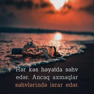 menali sozlu sekiller sozlu profil sekilleri axmaqlar sehv 1