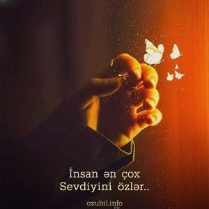 menali sozlu sekiller sozlu profil sekilleri darixmaq darixiram 1