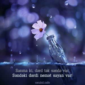 menali sozlu sekiller sozlu profil sekilleri derdli qem qusse 1