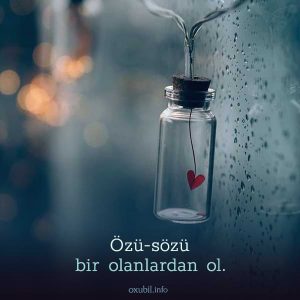 menali sozlu sekiller sozlu profil sekilleri durust sadiq vefali