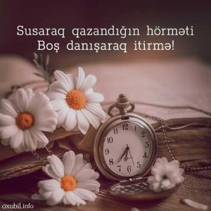 menali sozlu sekiller sozlu profil sekilleri hormet bos danisma 1