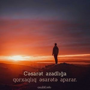 menali sozlu sekiller sozlu profil sekilleri qorxaq cesur azad 1