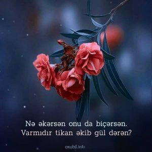 menali sozlu sekiller sozlu profil sekilleri sozlu ne ekersen onu 1