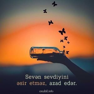 menali sozlu sekiller sozlu profil ucun sekiller yazili sekiller 1