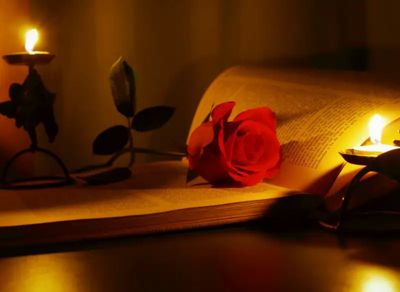 Dərin Mənalı Sözlər, derin menali sozler,derin menali statuslar