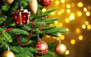 yeni il şeirləri,yeni il şeiri,sud kimi ag qar ile,yeni ile aid şeirler,yeni ile aid seir,yeni ile aid seirler,təzə il şeirləri