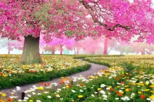 bahar fəsillərin gözəlidir mövzusunda inşa,bahara aid esse,bahara aid inşa,yaz fəsli haqqında esse,yaz haqqında inşa,bahar fesillerin gozeldir,yaz fesli haqqında inşa,bahar fəsli