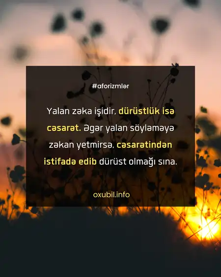 Maraqlı Aforizmlər və Sözlər maraqli sozler