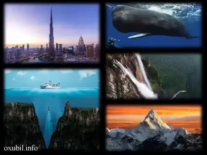 Dünyanın ƏNləri | Maraqlı faktlar