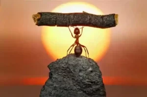 Bu məqalə "Kiçik işlərdə böyük olmaq lazımdır"  mövzusunda esse yazmağınıza yardım edəcək. Esse sizlərə fikir vermək məqsədiylə yazılıb. Çalışın ona öz fikir və sözlərinizi də əlavə edəsiz. Sonda şərh yazaraq öz düşüncələrinizi bizimlə paylaşın.