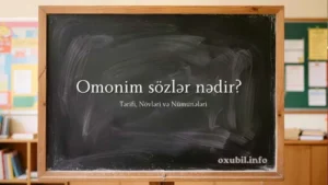 Omonim Sözlər Nədir?Omonim nedir?