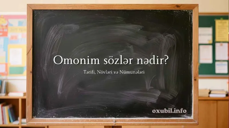 Omonim Sözlər Nədir?Omonim nedir?